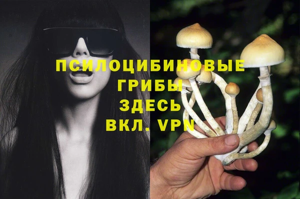 2c-b Балахна