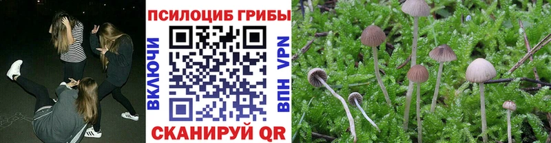 Галлюциногенные грибы Cubensis  Реутов 