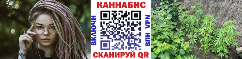 Бошки марихуана OG Kush  hydra зеркало  Реутов 